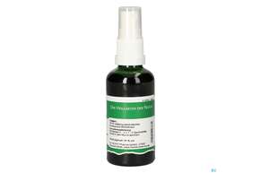 Pater Severin Mistel Spray, A-Nr.: 4444567 - 01