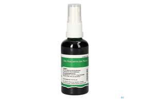 Pater Severin Quendel Spray, A-Nr.: 4444722 - 01