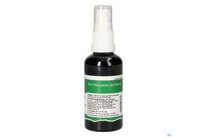 Pater Severin Rosmarin Spray, A-Nr.: 4566075 - 01