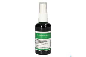 Pater Severin Sarsaparillawurzel Spray, A-Nr.: 4484868 - 01