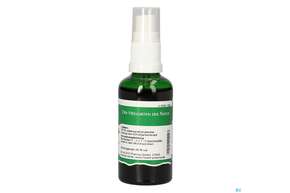 Pater Severin Schafgarben Spray, A-Nr.: 4444840 - 01