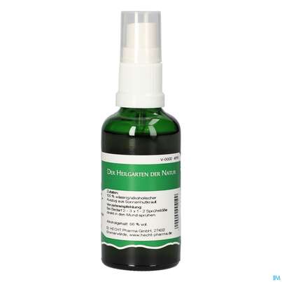 Pater Severin Sonnenhut Spray, A-Nr.: 4444946 - 04