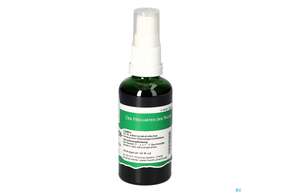 Pater Severin Spitzwegerich Spray, A-Nr.: 4444969 - 01