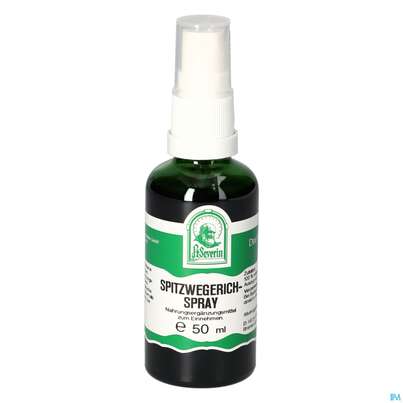 Pater Severin Spitzwegerich Spray, A-Nr.: 4444969 - 02