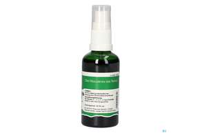 Pater Severin Stiefmütterchenkraut Spray, A-Nr.: 4484992 - 01