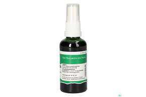 Pater Severin Ulmenrinden Spray, A-Nr.: 4445064 - 01