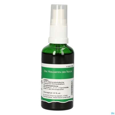 Pater Severin Veilchenblatt Spray, A-Nr.: 4485069 - 01