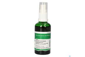 Pater Severin Veilchenblatt Spray, A-Nr.: 4485069 - 01