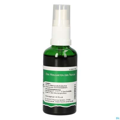 Pater Severin Veilchenblatt Spray, A-Nr.: 4485069 - 04