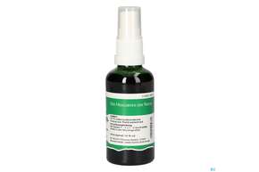 Pater Severin Waldmeister Spray, A-Nr.: 4445093 - 01