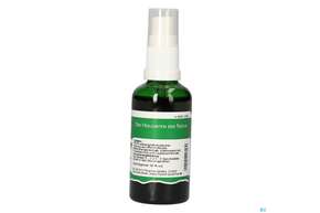 Pater Severin Wermut Comp. Spray, A-Nr.: 4800192 - 01