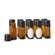 Primavera Leerflaschenset 10ml 1st, A-Nr.: 5615781 - 01