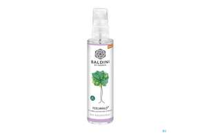 Taoasis Baldini Feelwald Demeter Raumspray 50ml, A-Nr.: 4842150 - 01