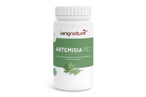 KINGNATURE Artemisia Pet Kaps 600 mg Bio 72 Stk, A-Nr.: 5941440 - 01