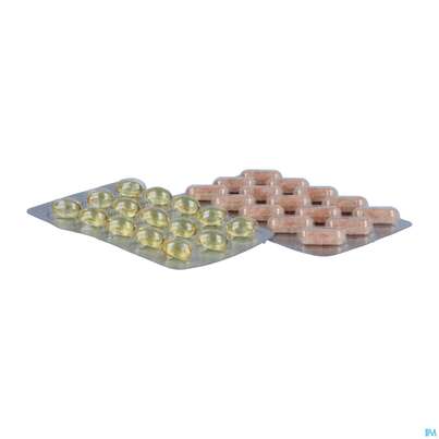 Amitamin Kapseln Arthro 360 B.arthrose +arthritis 120st, A-Nr.: 4180559 - 06