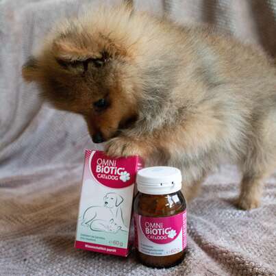 OMNi-BiOTiC® Cat &amp; Dog, 60g, A-Nr.: 5200301 - 03