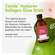 Hyaluron Kollagen Glow Drink, A-Nr.: 5973658 - 08