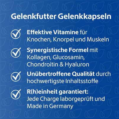 R(h)ein Nutrition Gelenkfutter Komplex Gelenkkapseln, A-Nr.: 5987169 - 03