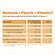 R(h)ein Nutrition Kurkuma 95 % Curcumin + Piperin + Vitamin C Kapseln, A-Nr.: 5987175 - 08