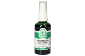 TRAUBENSILBERKERZE SPRAY 50ML, A-Nr.: 5773764 - 01