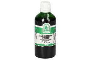 STACHELANNONE TROPFEN 100 ML, A-Nr.: 5718699 - 01