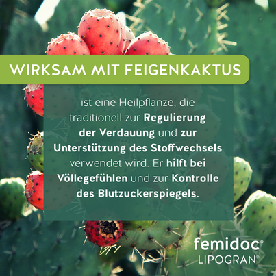 femidoc® LIPOGRAN®, A-Nr.: 5858207 - 06
