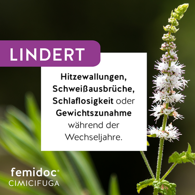 Sie sehen eine Packung femidoc CIMICIFUGA 13 mg Filmtabletten, Produktbild: 02 femidoc CIMICIFUGA 13 mg Filmtabletten, A-Nr.: 5533787 - 02