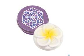 Taoasis Minidose Bluete Mit Duftstein Frangipani (ve 10) 1st, A-Nr.: 4558911 - 01