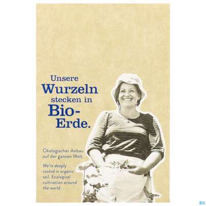 Sie sehen eine Packung Sonnentor Aufgussbeutel/bio Spitzwegerich -fichtennadel 02338 18st, Produktbild: 07 Sonnentor Aufgussbeutel/bio Spitzwegerich -fichtennadel 02338 18st, A-Nr.: 5913136 - 07