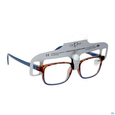Sie sehen eine Packung Lesebrille Vitry Atlas +2,5 L22a2 1st, Produktbild: 02 Lesebrille Vitry Atlas +2,5 L22a2 1st, A-Nr.: 5966397 - 02