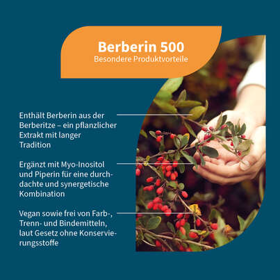 Sie sehen eine Packung NatuGena Berberin 500 Kapseln, Produktbild: 02 NatuGena Berberin 500 Kapseln, A-Nr.: 6011909 - 02