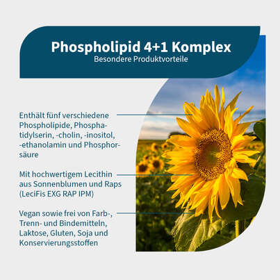 NatuGena Phospholipid 4+1 Komplex Kapseln, A-Nr.: 6011921 - 02
