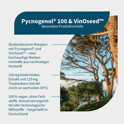 NatuGena Pycnogenol® 100 &amp; VinOseed™ Kapseln, A-Nr.: 5990119 - 02