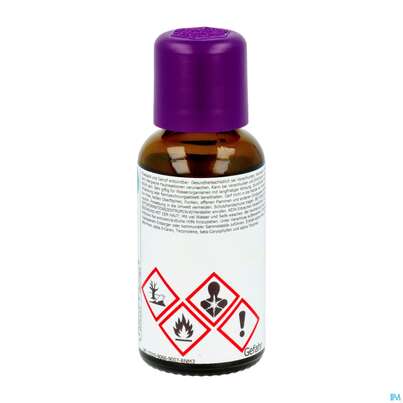 Aetherische Oele Taoasis Bio Zirbelkiefer 30ml, A-Nr.: 4158471 - 04