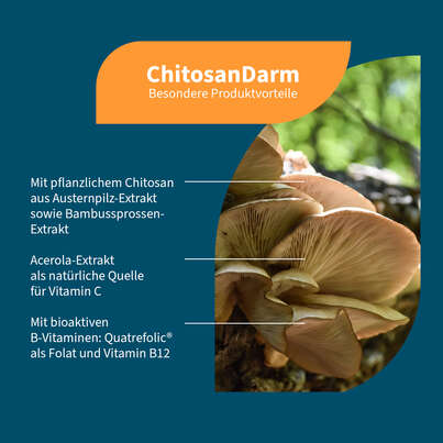 Sie sehen eine Packung NatuGena ChitosanDarm Kapseln, Produktbild: 02 NatuGena ChitosanDarm Kapseln, A-Nr.: 5699128 - 02