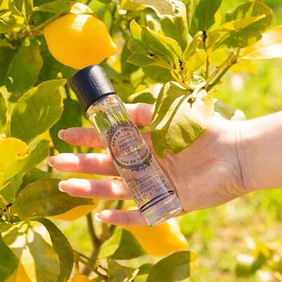 Panier des Sens Eau de Toilette Provence, A-Nr.: 5958937 - 02