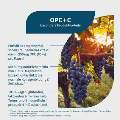 Sie sehen eine Packung NatuGena OPC+C Kapseln, Produktbild: 02 NatuGena OPC+C Kapseln, A-Nr.: 5404452 - 02