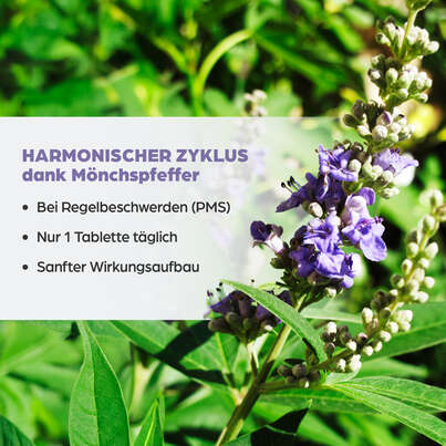 Dr. Böhm Mönchspfeffer, A-Nr.: 3524376 - 03