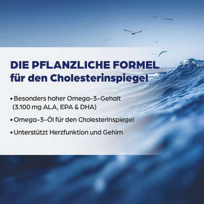 Sie sehen eine Packung Dr. Böhm® Omega 3 Öl complex, Produktbild: 03 Dr. Böhm® Omega 3 Öl complex, A-Nr.: 5971777 - 03