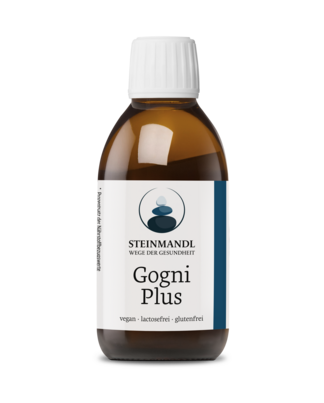 Sie sehen eine Packung Steinmandl CogniPlus, Produktbild: 01 Steinmandl CogniPlus, A-Nr.: 6039641 - 01