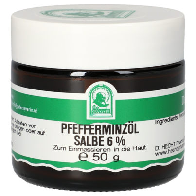 Sie sehen eine Packung PFEFFERMINZÖL SALBE 6% 50 G, Produktbild: 01 PFEFFERMINZÖL SALBE 6% 50 G, A-Nr.: 5304118 - 01
