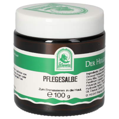 Sie sehen eine Packung PFLEGESALBE 100 G, Produktbild: 01 PFLEGESALBE 100 G, A-Nr.: 5748602 - 01