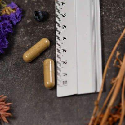 Supplementa White Willow Bark (Silberweide) Kapseln, A-Nr.: 5574970 - 04