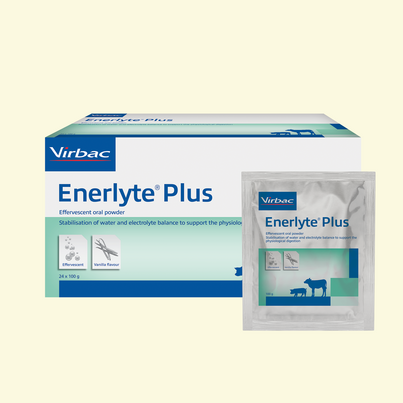 Enerlyte Plus für Kälber und Absatzferkel, A-Nr.: 4345078 - 03