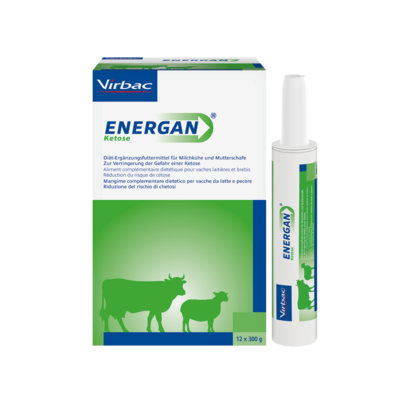 Energan Ketose für Milchkühe und Mutterschafe, A-Nr.: 3003370 - 01