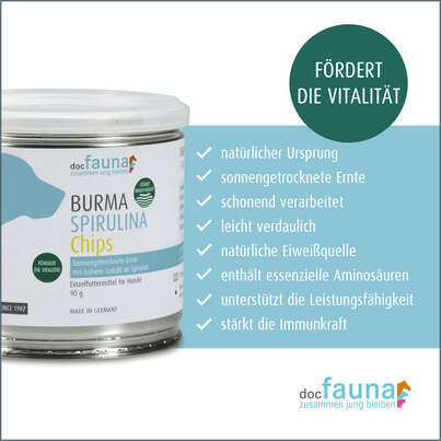 Sie sehen eine Packung Burma Spirulina Chips DOG 90g, Produktbild: 02 Burma Spirulina Chips DOG 90g, A-Nr.: 5755074 - 02