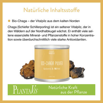 Bio Chaga Pulver 145g, A-Nr.: 4546931 - 03