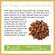 Sie sehen eine Packung Bio Chaga Pulver 145g, Produktbild: 04 Bio Chaga Pulver 145g, A-Nr.: 4546931 - 04