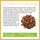 Bio Chaga Pulver 145g, A-Nr.: 4546931 - 04