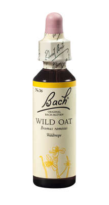 Bach®-Blüte Nr. 36 Wild Oat (Waldtrespe), A-Nr.: 5323417 - 01